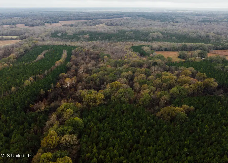 745 Black Jack Road, Benton, MS 39039 - Image #3