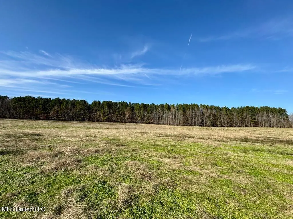 00002 Johnson Line Road, Bolton, MS 39041 - Image #1