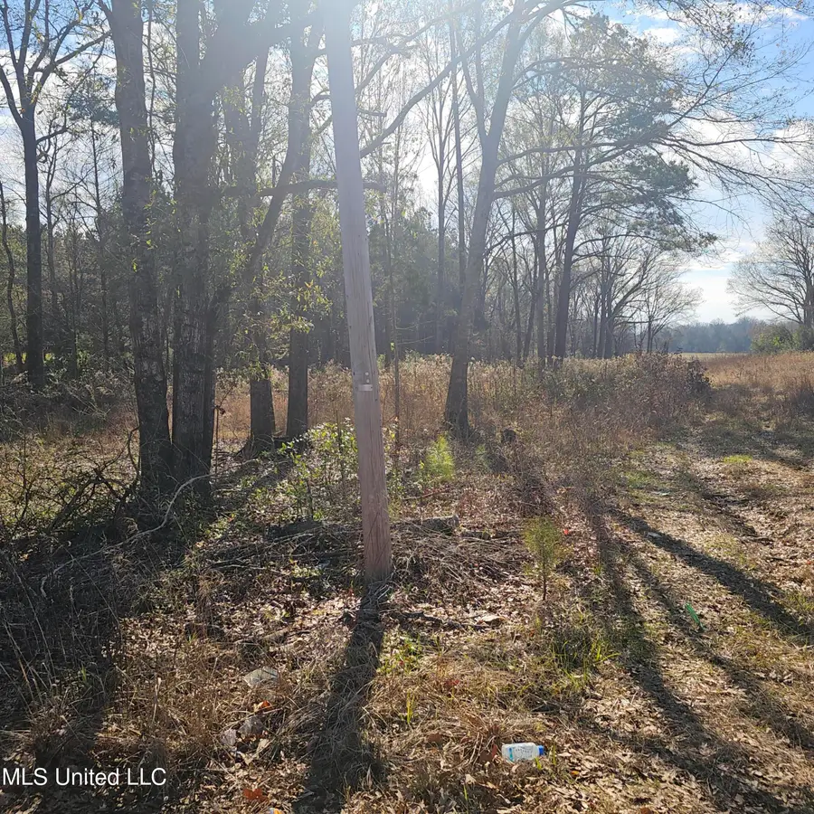 1 Watson Road, Byhalia, MS 38611 - Image #3