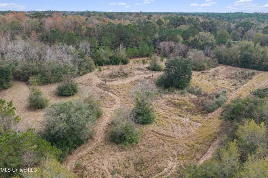 Byrnes Drive, Saucier, MS 39574 - Image #3