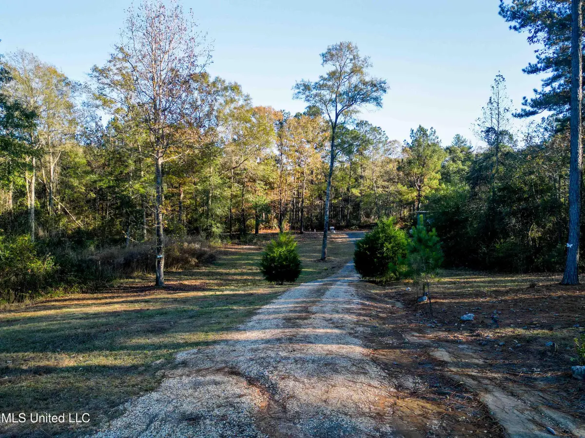 54 New Saint Paul Church Drive, Waynesboro, MS 39367 - Image #1