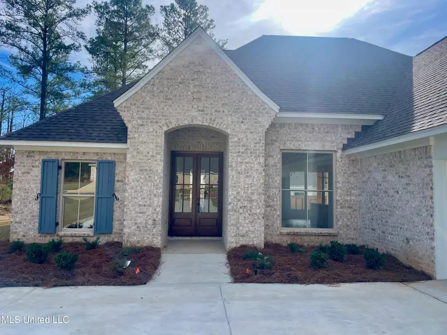 388 Wellstone Place, Madison, MS 39110 - Image #3