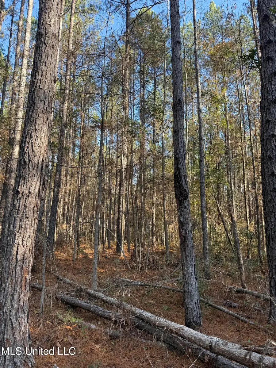 Corbit Boulevard, McLain, MS 39456 - Image #3