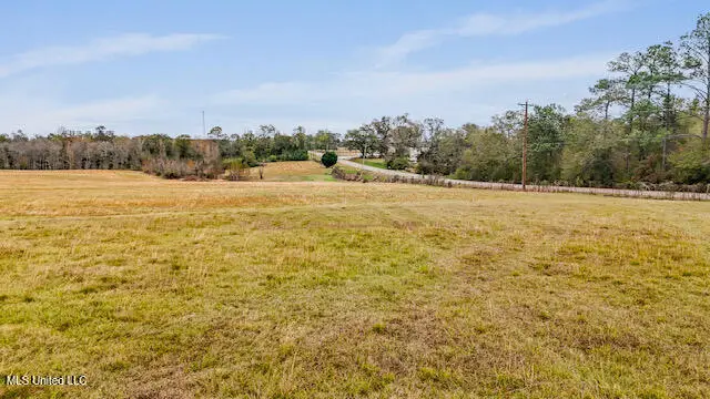 Nhn Hwy 53, Poplarville, MS 39470 - Image #3