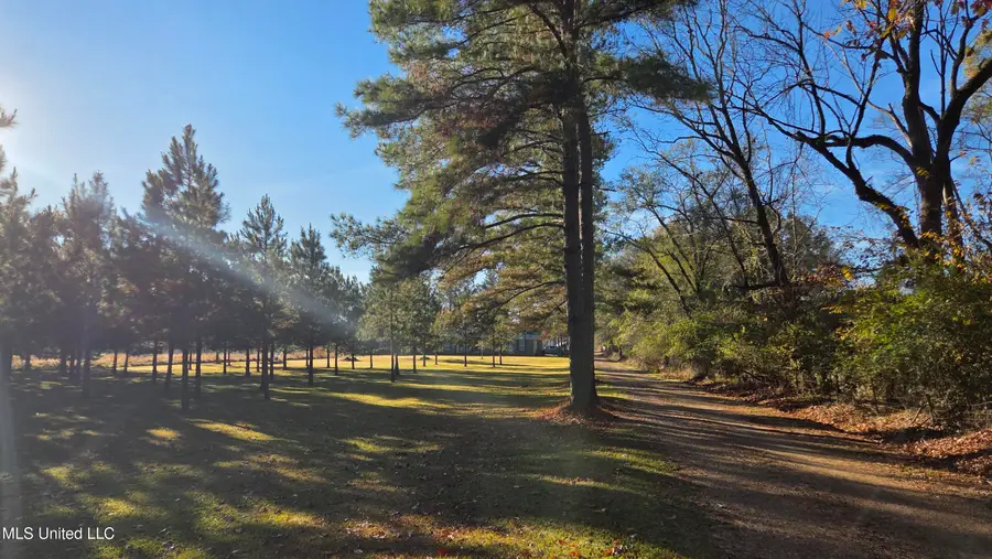 4839 Cayuga Road, Utica, MS 39175 - Image #2