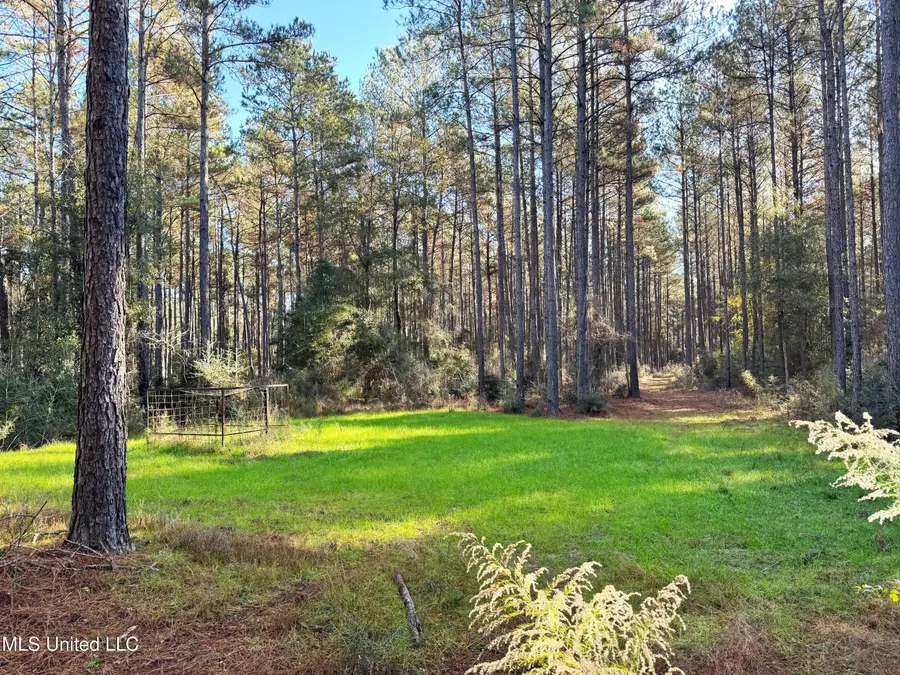 W Hwy 568, Magnolia, MS 39652 - Image #2