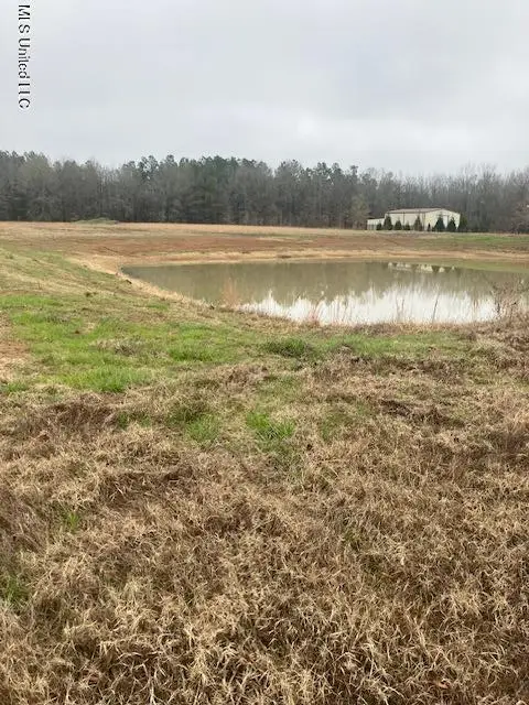 1127 Breedlove Road, Michigan City, MS 38647