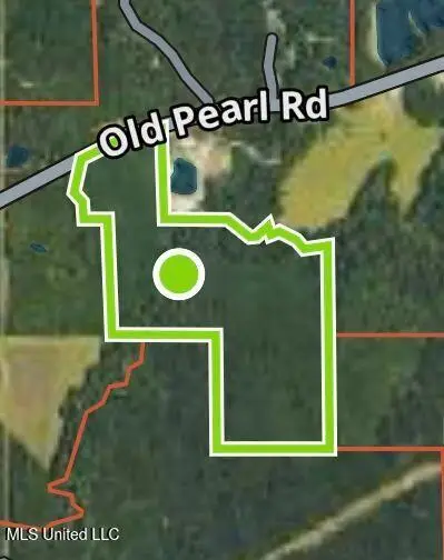 00 Old Pearl Road, Florence, MS 39073 - Image #2