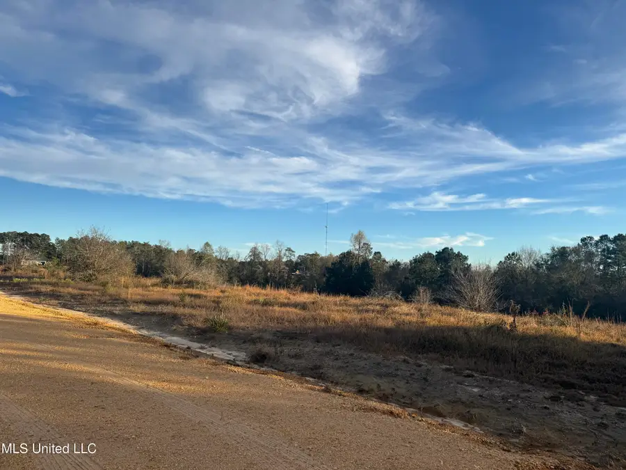 5 Acres Parker Rd, McHenry, MS 39561 - Image #2