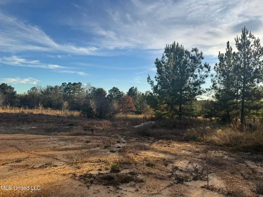 7 Acres Parker Road, McHenry, MS 39561 - Image #3