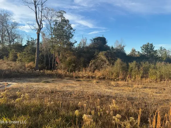 Parker Road, McHenry, MS 39561
