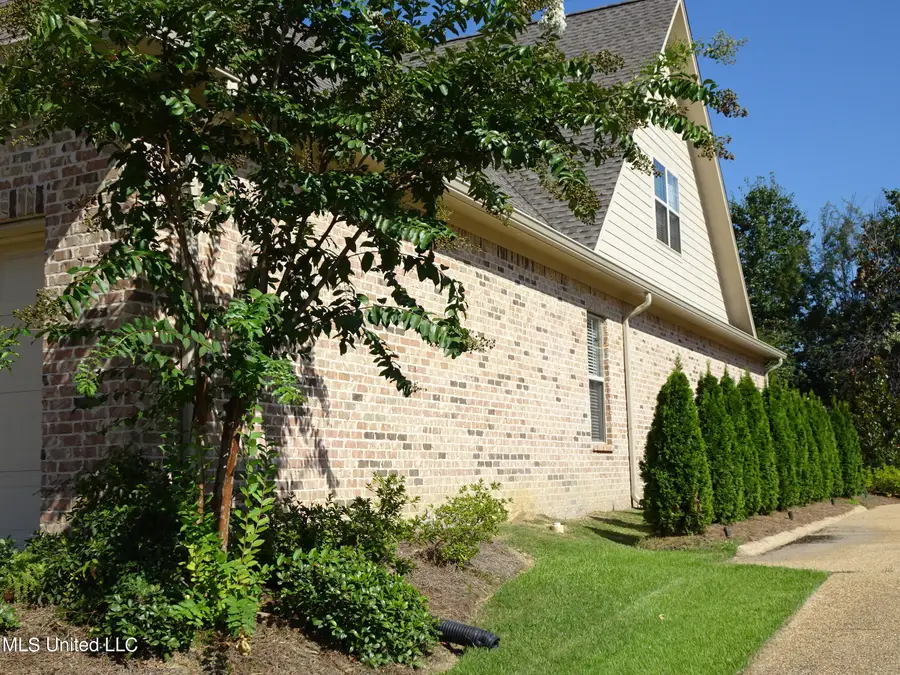 46 Charleston Circle, Brandon, MS 39047 - Image #3