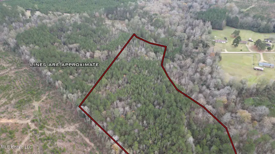 57 Mose Hilliard Road, Sontag, MS 39665 - Image #3