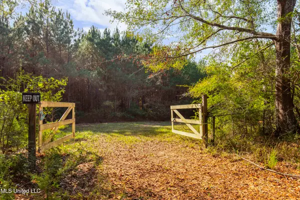 Katie Bush Road, Pinola, MS 39149