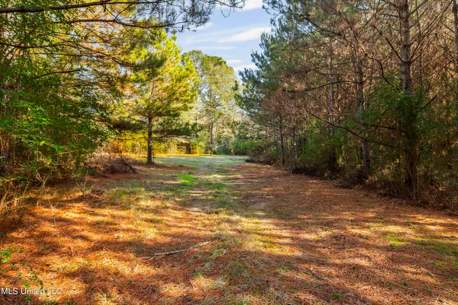 Katie Bush Road, Pinola, MS 39149 - Image #3