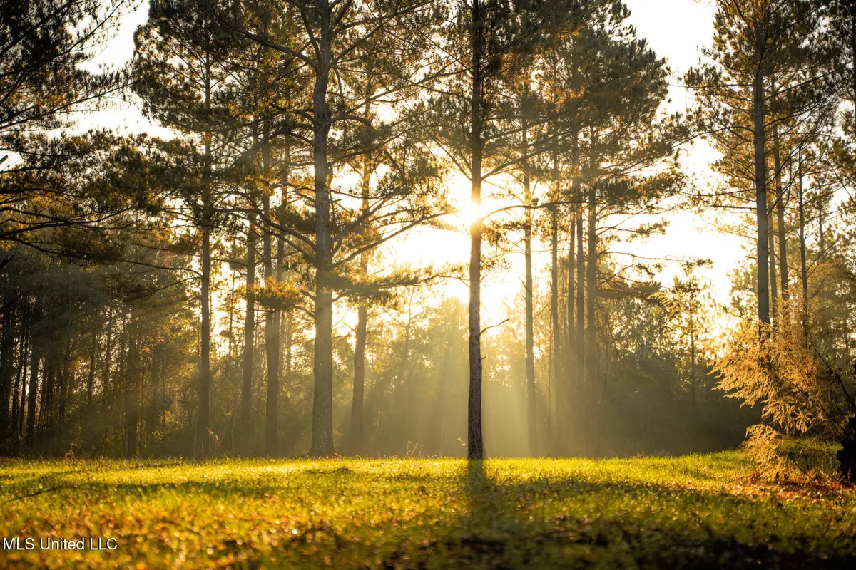 Newton Caney Creek Road, Decatur, MS 39327 - Image #1