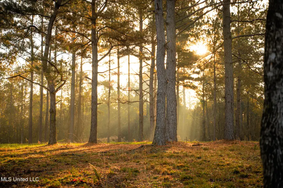 Newton Caney Creek Road, Decatur, MS 39327 - Image #3