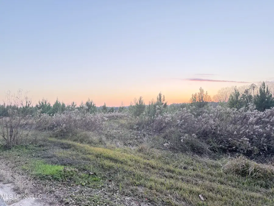 Eli Dudley Road, Moss Point, MS 39562 - Image #3