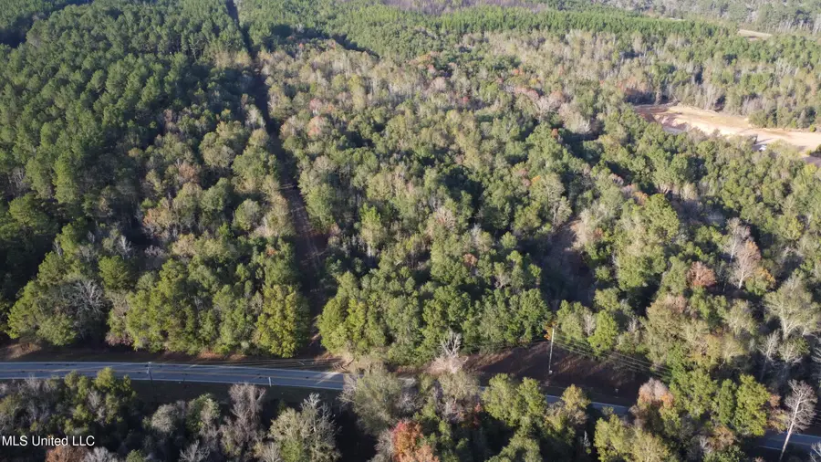 10 Mile Creek Road, Foxworth, MS 39483 - Image #2