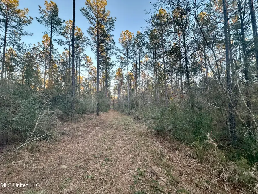 000 Monticello Road, Wesson, MS 39191 - Image #2