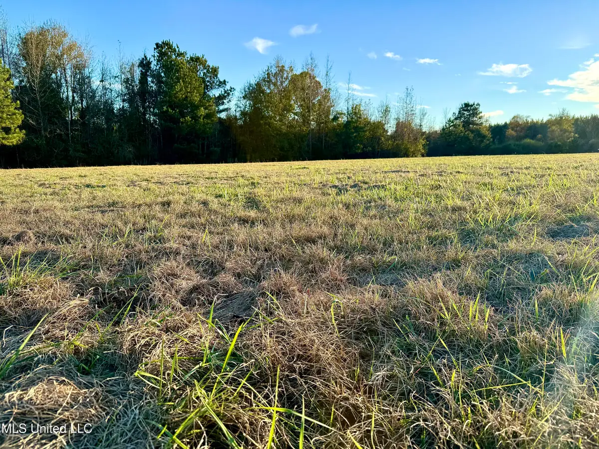 000 Highway 513, Enterprise, MS 39330 - Image #1