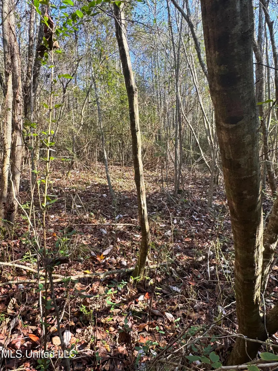 000 Highway 513, Enterprise, MS 39330 - Image #3