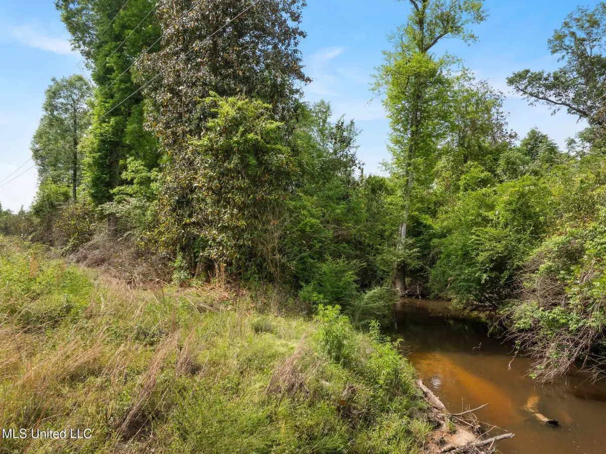 81.64 Acres William Warren Road, Collins, MS 39428 - Image #1