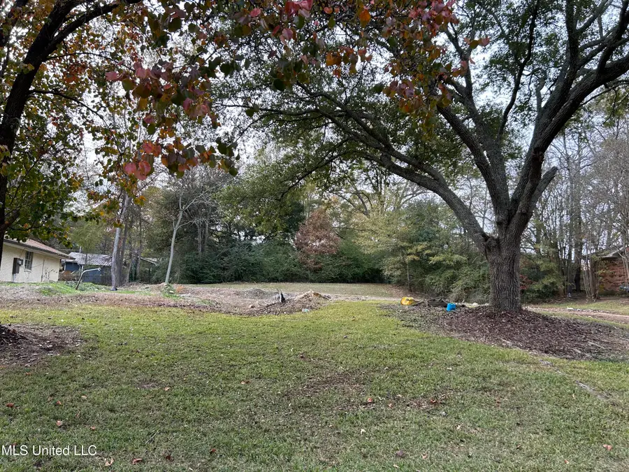 Meadow Ln Circle, Clinton, MS 39056 - Image #2