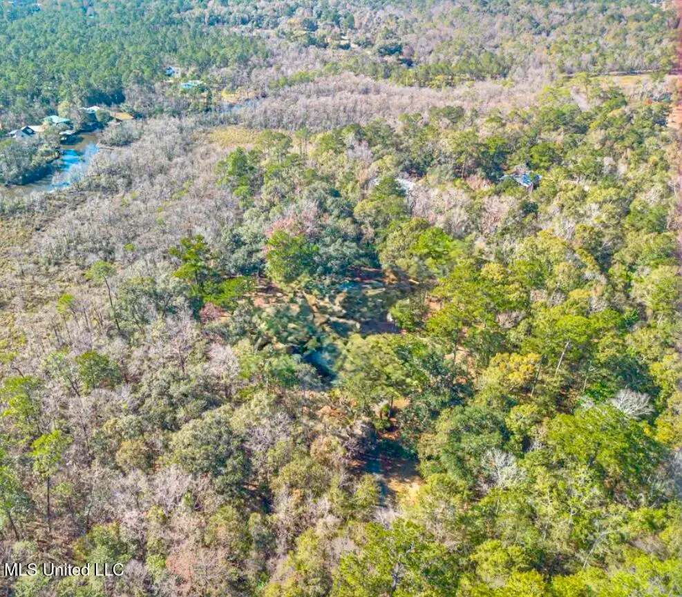 Moragas Lane, Kiln, MS 39556 - Image #1