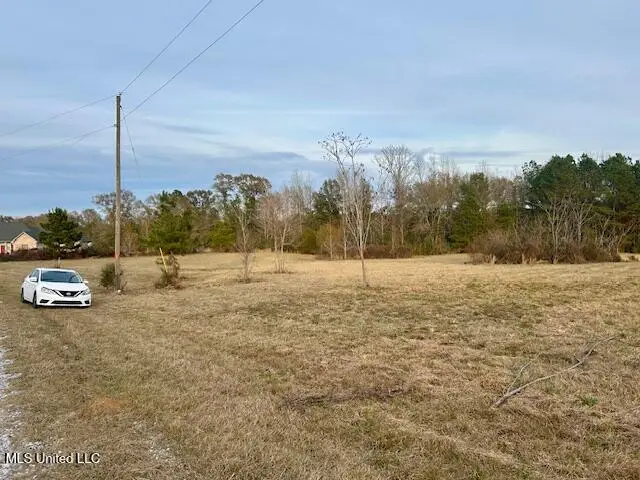 1030 Clearview East Drive, Magnolia, MS 39652 - Image #2