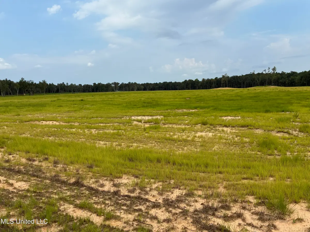 Lot 5 Hwy 43, Kiln, MS 39556 - Image #1
