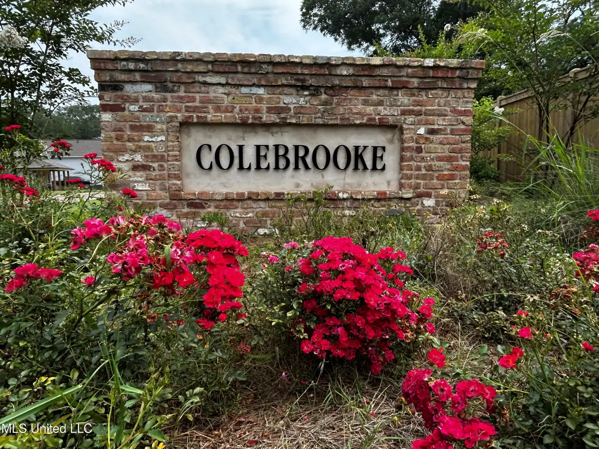 105 Colebrooke Cove, Florence, MS 39073 - Image #1