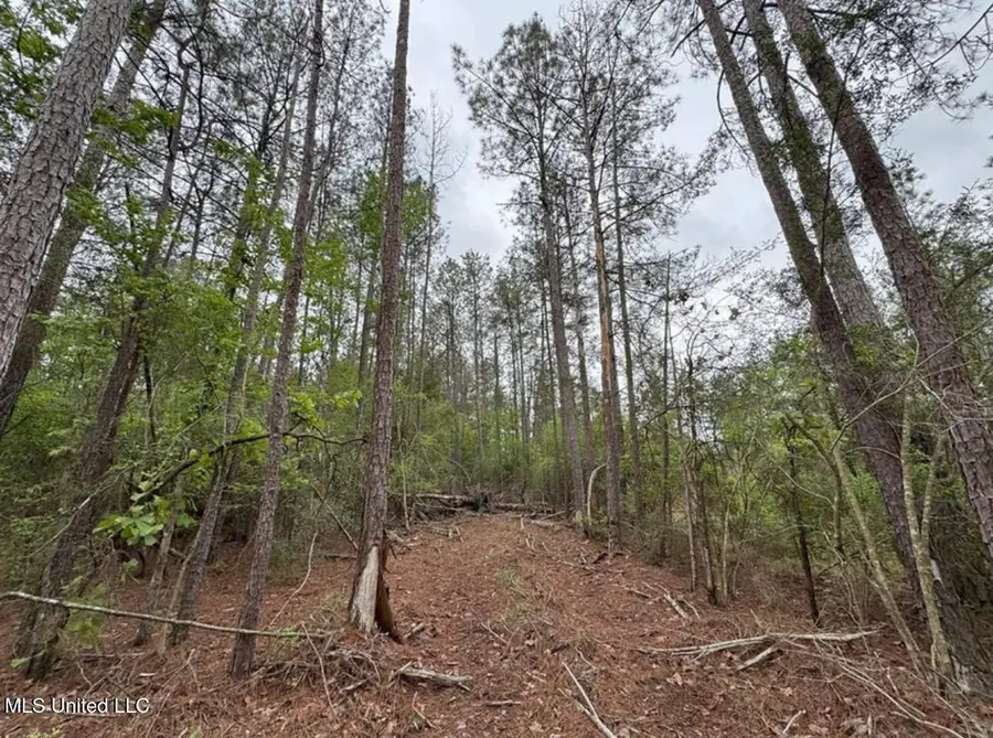 0 Light Plant Road, Monticello, MS 39654 - Image #2