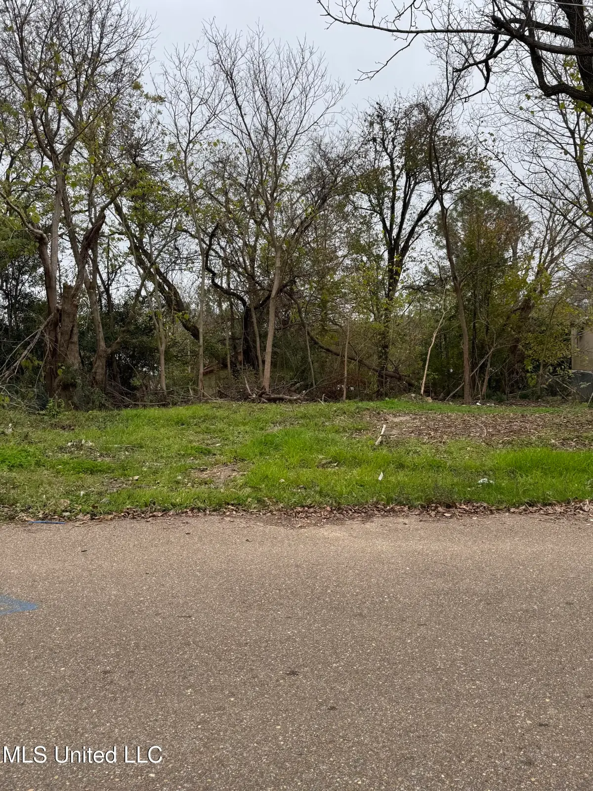 1010 Ethel Street, Yazoo City, MS 39194 - Image #1