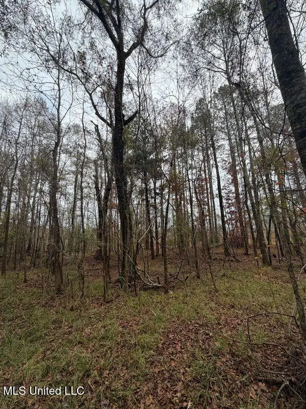 N Us-11 Highway, Enterprise, MS 39330 - Image #3