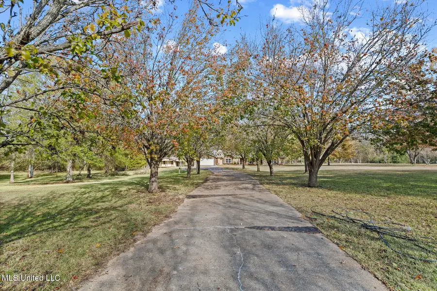 430 Countryside Place, Madison, MS 39110 - Image #3