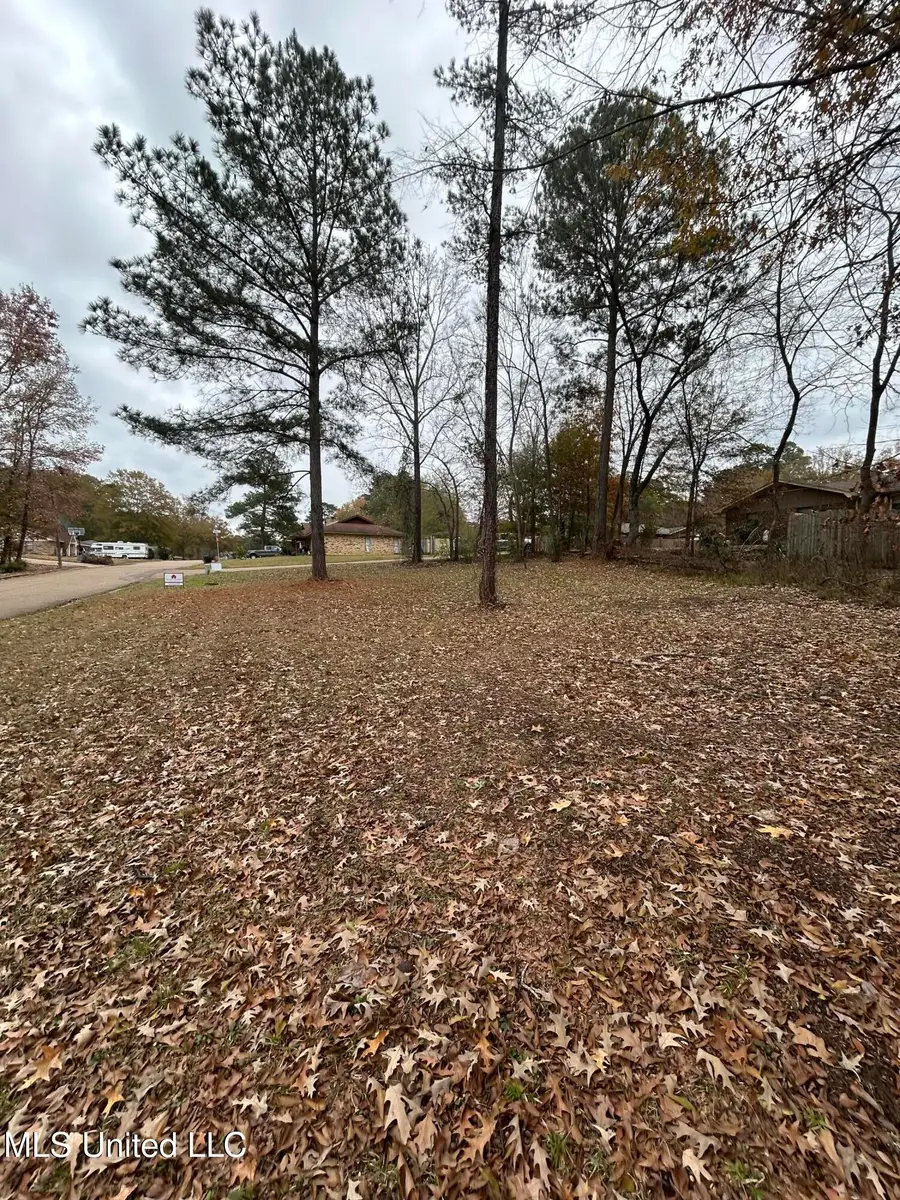 001 Brenmar Street, Brandon, MS 39042 - Image #2