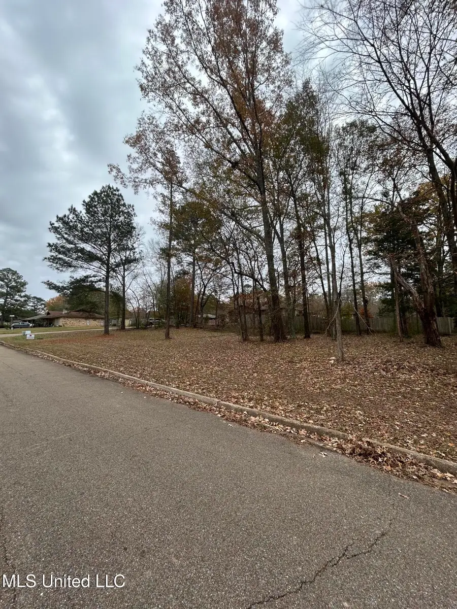 001 Brenmar Street, Brandon, MS 39042 - Image #3