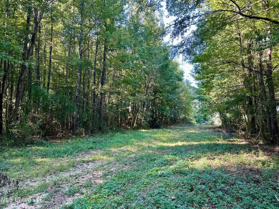 Tbd NE Williams Street, Brookhaven, MS 39601 - Image #3