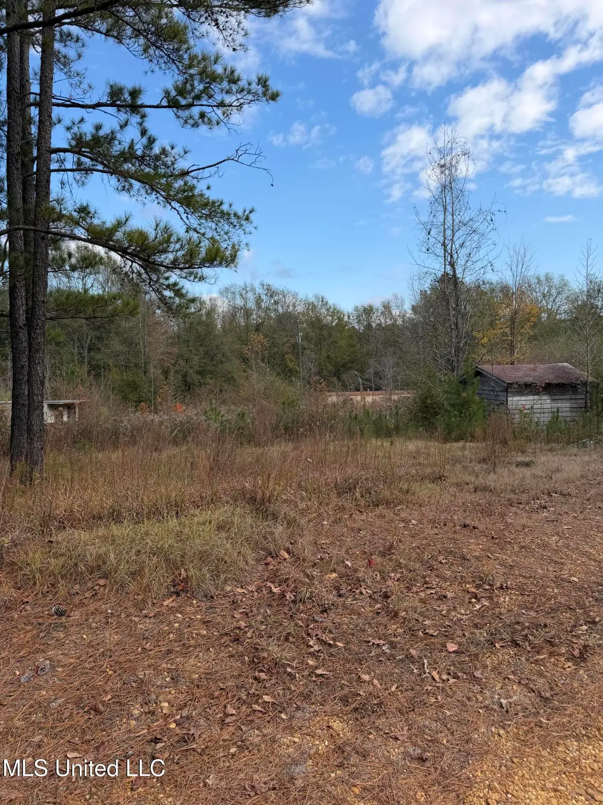 393 SW Cripple Lane, Brookhaven, MS 39601 - #1