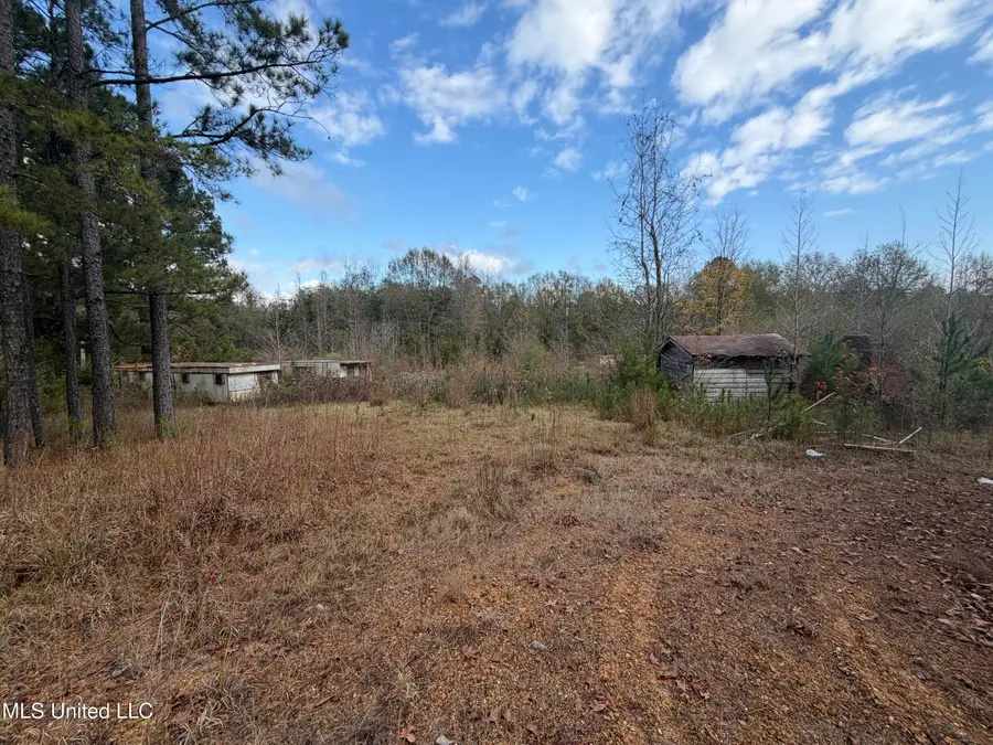 393 SW Cripple Lane, Brookhaven, MS 39601 - #3