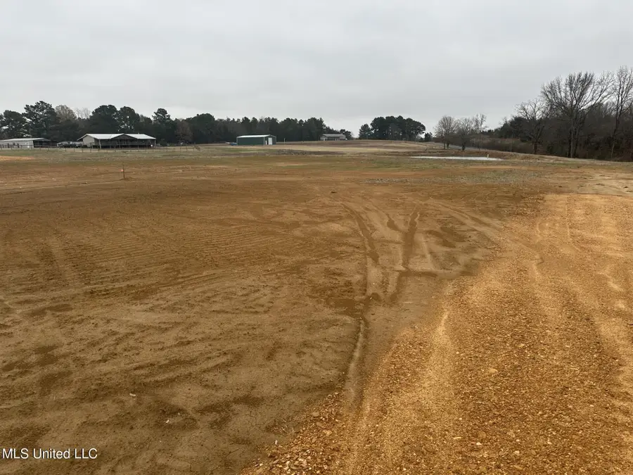 2 Bett Road, Coldwater, MS 38618 - #3