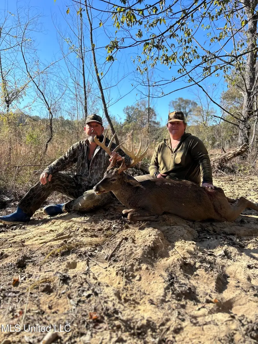 Fletchers Chapel Road, Bentonia, MS 39040 - #3