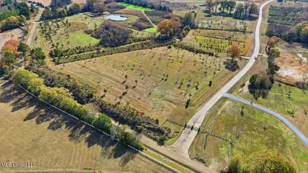 00008 Windermere Boulevard, Madison, MS 39110