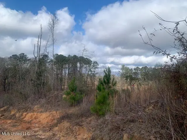 Tbd W Homochitto Road, Gloster, MS 39638 - #3