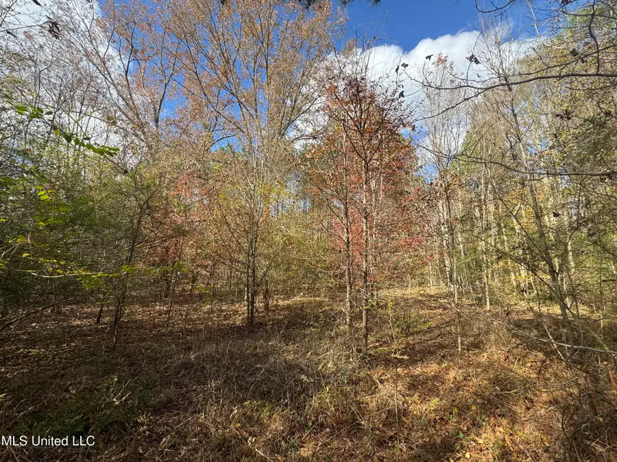 699 Meadow Lane, Byram, MS 39272 - #3