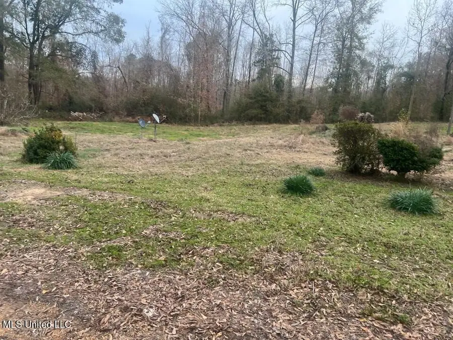 5454 Poplar Hill Road, Fayette, MS 39069 - #3