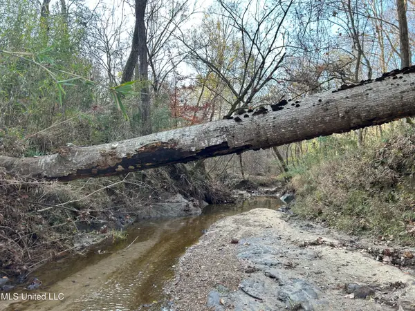 Henderson Road, Bentonia, MS 39040