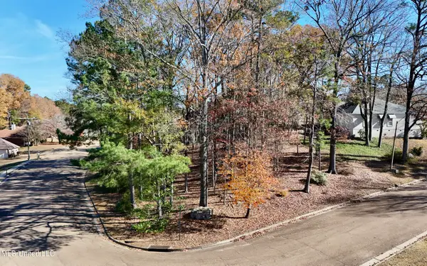 0 Brighton Drive, Clinton, MS 39056