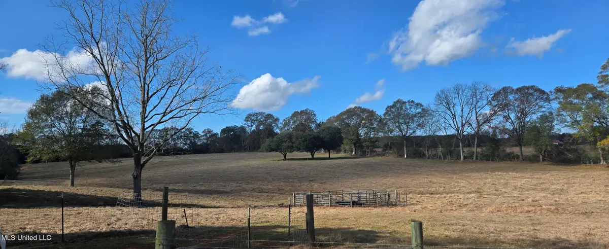 199 Airline Highway, Tylertown, MS 39667 - Image #1